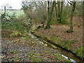 Stream leaving Roundacre Wood