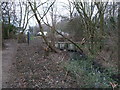 Disused Wilts & Berks Canal (North Wilts Branch) near Bruce Street Bridges