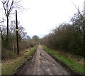 Folly Hall Lane towards Folly Hall