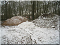 Gravel heaps - Pachington Copse