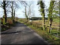 Road at Carn