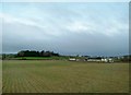 Farmland west of the Old Road