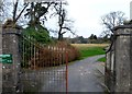 Side gate into the Seaforde Demesne