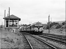 W6774 : Train at Kilbarry cabin by The Carlisle Kid