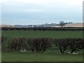 Across the fields - view to South Anston