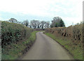 SU6176 : Mead Lane north of Home Farm by Stuart Logan