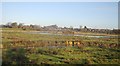 River Sow, Doxey Marshes