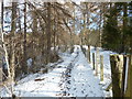 Footpath round Loch Imrich