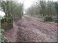 Looking towards Bushcombe Lane from Nottingham Hill