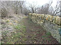 Cotswold stone wall on Nottingham Hill