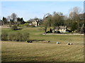 Farmland and Leygore Cottages