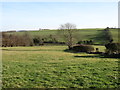 Farmland near Hazleton