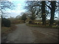 Track leading to Surrey Brickworks, off Knowle Lane