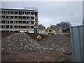 Demolishing a college, Colchester Ave, Cardiff