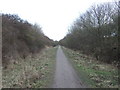 Haswell to Hart railway path heading east