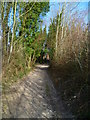 Bridleway from Mount Harry nears Offham