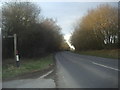 Horsham Road by the entrance to Hall Farm