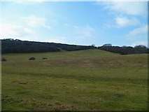 TQ3710 : Looking across the southern end of Ashcombe Bottom by Shazz
