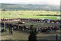 SO9524 : Motorcycle Display at Cheltenham Racecourse by Jeff Buck