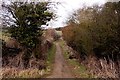 SP4804 : Bridleway to Harcourt Hill by Steve Daniels
