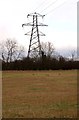 SP4804 : Pylon over the field by Steve Daniels