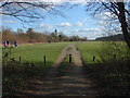 SU9973 : Trackway, Runnymede by Alan Hunt