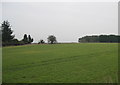 Wheat field near Monk