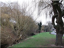 TQ4977 : The Streamway, Lessness Heath (2) by David Anstiss