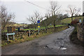 Hedge Row, Berristall Dale