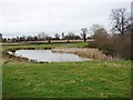 Pond on the hill