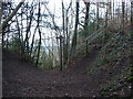 Path junction above Blodwel Rock