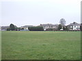 Cricket Pitch - Jer Lane