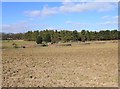 Larkhill sewage works