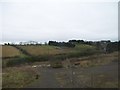 Waste ground south of Mealough Road