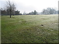 Ridge and furrow markings, Allesley Park