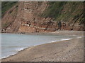 SY1587 : Higher Dunscombe Cliff from Weston Mouth by Ted Thompson