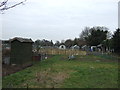 Allotments off Barnby Road