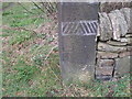 SK3099 : Cut benchmark at the end of Hermit Hill Lane by John Slater