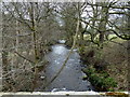 SK1686 : River Noe near Edale End by Andrew Hill