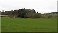 Field by the Ardoch Burn