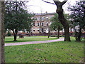 Garden in Park Circus