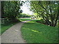 Path through the Ouzel Valley Park