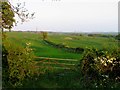 Fields by Ashby Folville Road