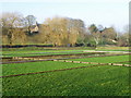 Watercress beds, Broad Chalke