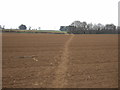 Footpath over field off Frieston Heath Lane