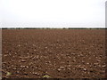 Farmland, Caythorpe Heath