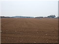 Farmland, Caythorpe Heath