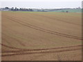 Farmland, Rauceby Grange