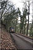 SS9520 : Mid Devon : Holmingham Woods road by Lewis Clarke