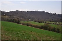 SS9520 : Mid Devon : Grassy Field & Countryside by Lewis Clarke